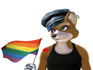 arc-pride-starfox-casquette-gay-arcenciel-adventures-homo-oreille-tatouage-lgbt-en-drapeau-marcel-aec-homosexuel-ciel-fox-tinnova-debardeur-boucle-mccloud-tatoue