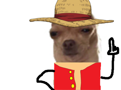 piece chien one luffy other