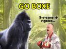 sans-gorille-rigoler-mma-muscu-risitas-go-boxe