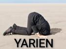 yarien-yorarien-iq-low-other