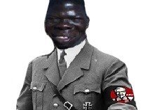 democratie nsdapoulet participative risitas eternegre