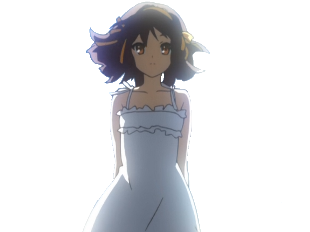 suzumiya haruhi waifu risitas princesse