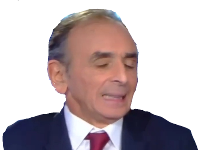 eric degout risitas zemmour schiappa