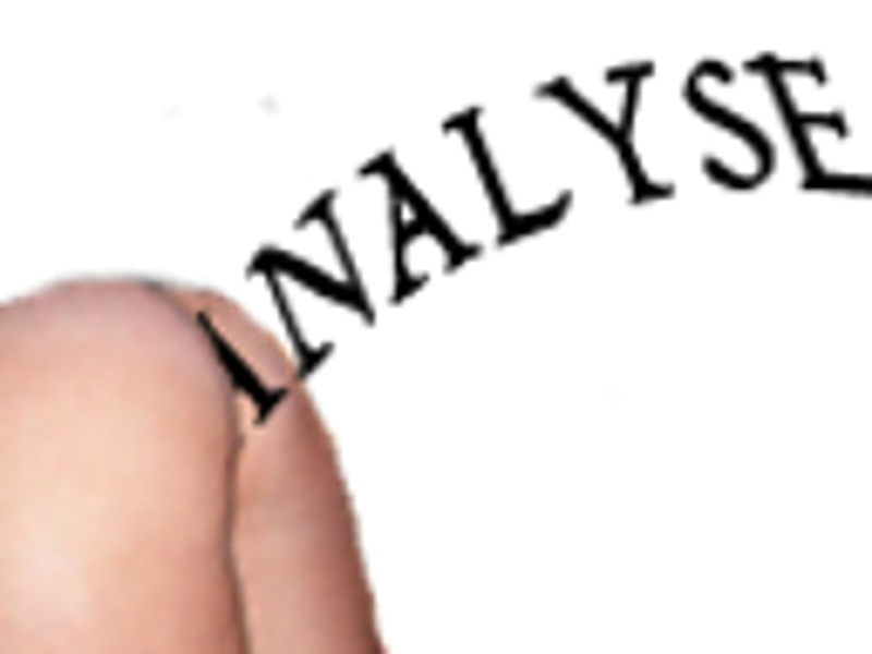 analyse risitas ass novelo