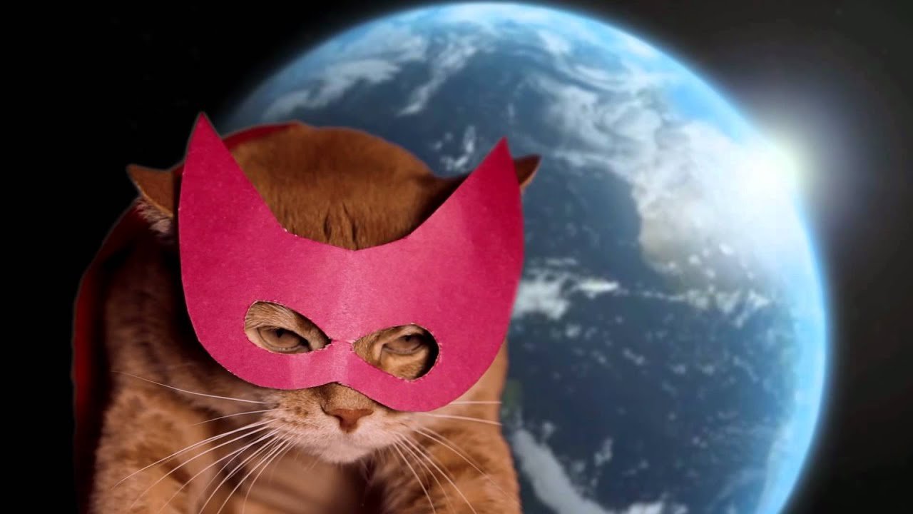 super heros russe serieux cat what chat roux cut the