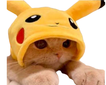 minou chat pikachu kikoojap kawai
