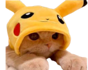 minou-chat-pikachu-kikoojap-kawai