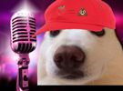 poop-karaoke-patate-fraise-jvc-chien-micro