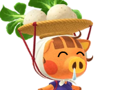 risitas animal nintendo crossing daisy mae