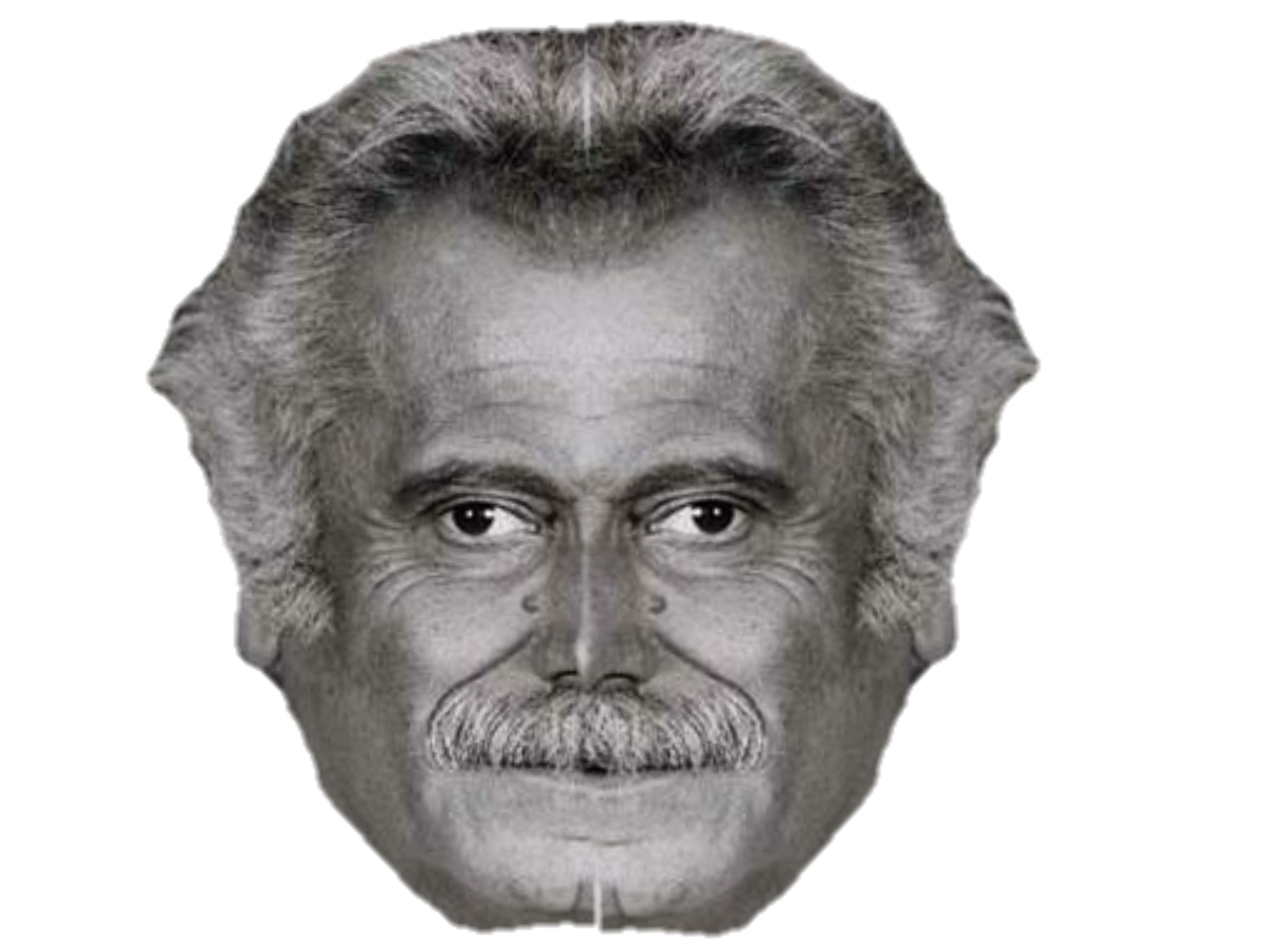 miroir brassens risitas georges chanteur