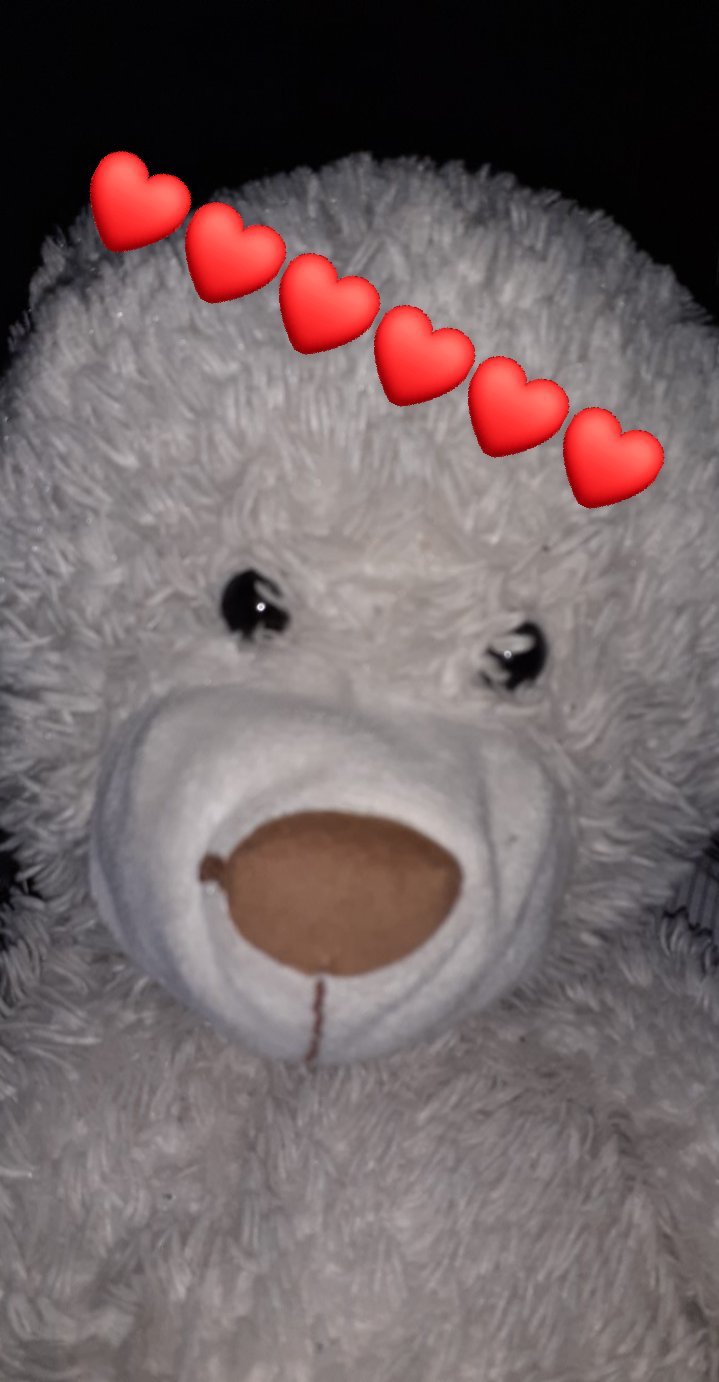 monde du nounours risitas le gentil plus