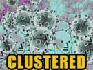 ncov-chine-infection-foyer-spreader-coronavirus-clustered-pathogene-virus-maladie-epidemie-superspreader-infectieux-corona-other-grippe-covid-mutation-cluster-purification-letal-pandemie
