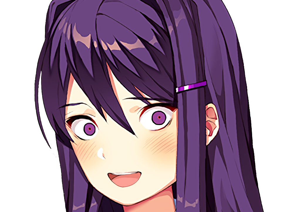 risitas dokidoki ddlc kikoujap face doki yuri
