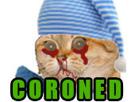 coronavirus-pure-ncov-chat-corona-yorarien-minette-coroned-travesti-trav-gogole-other