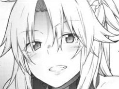 fate mordred kikoojap