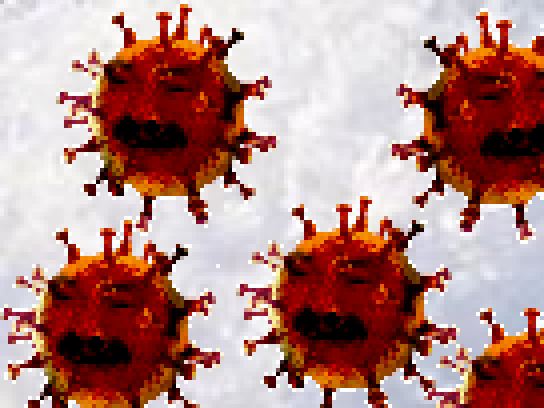 risitas coroni corono corona