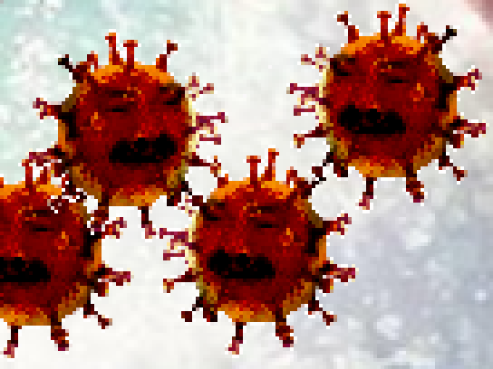 corono coroni risitas corona