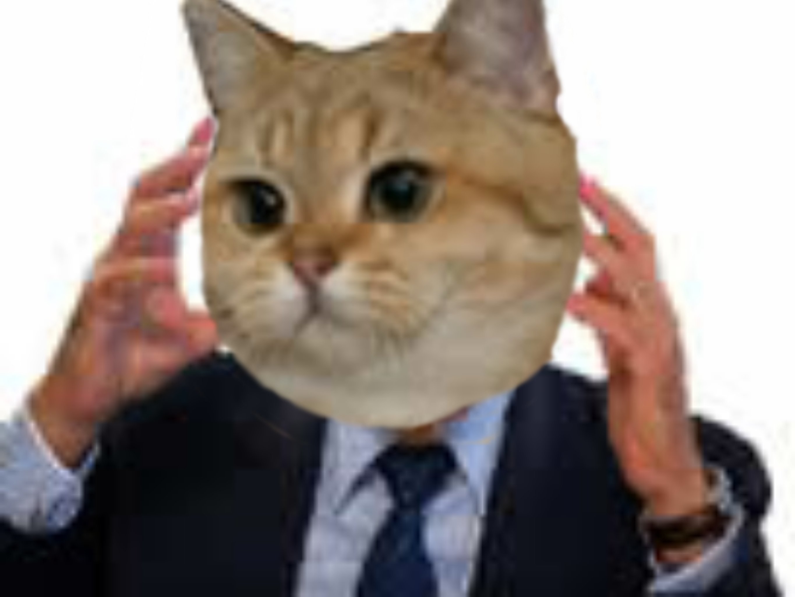 colere roux enerve chat