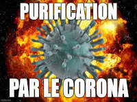 corona coronavirus purification virus