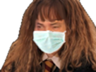 other-pottah-covid-potter-epidemie-hermione-19-pandemie-masque-granger-harry-coronavirus
