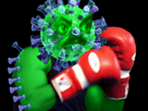 coronavirus-boxe-covid-raoult-chance-docteur-coroned-virus-risitas-19
