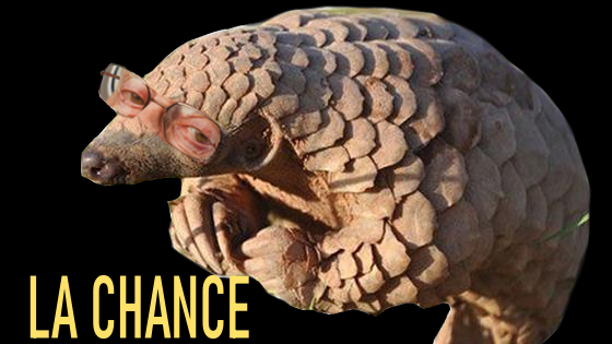 risitas la pangolin chance