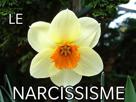 other-trop-narcisse-drole-chuis-narcissisme-ptdr