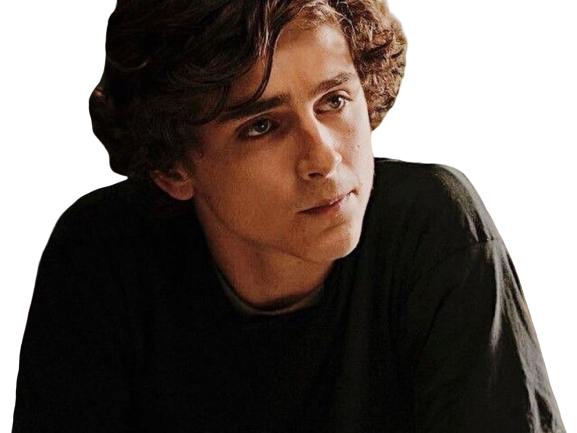 bg chalamet timothe homme acteur