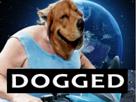 depardieu-jvc-dogged-themoon