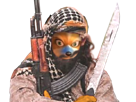 al-jihad-fox-djihad-tinnova-adventures-starfox-qaida-mccloud-jihadiste-djihadiste-alqaida-qaeda-terroriste-alqaeda