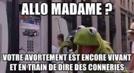 connard-telephone-kermit-insulte-other