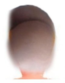 sexy cul cynthia cynthcul