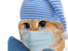 virus-minette-larme-confined-chaton-paharmacie-medical-ffp1-coronavirus-dort-bonnet-ffp2-confinement-medecin-other-masque-sommeil-ffp-chat-confine-chatte-docteur