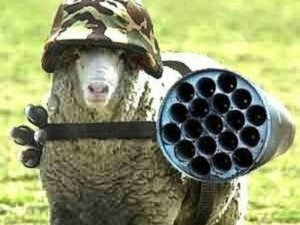 rebellle arme mouton