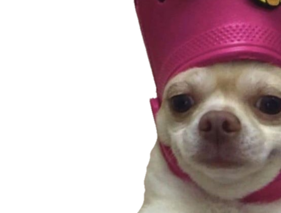 vie passe style mood dog dxm