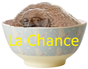 chance pangolin larry bol coronavirus