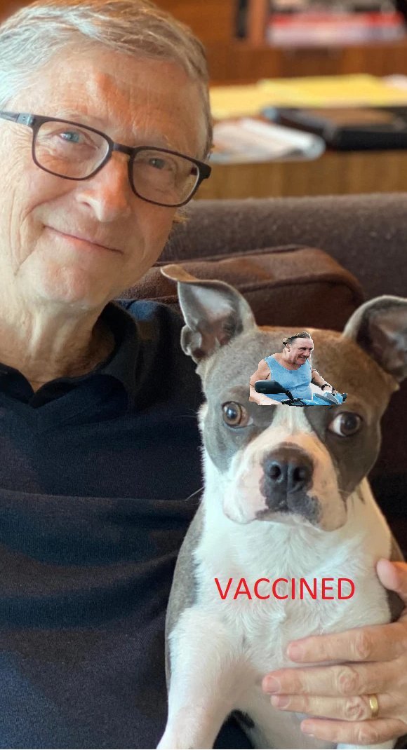 vaccin gates risitas zinzin