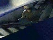 sf64 vaisseau fox gif tinnova starfox64 mccloud arwing 64 starfox