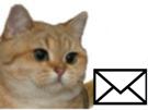 chat-roux-mp-lettre-other-message