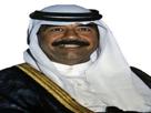 syrie-bienveillant-moustache-foulard-tradition-cynique-dictateur-narquois-hussein-risitas-saddam-anneau-blanc-arabe-sourire-noir-president-insolent-irak