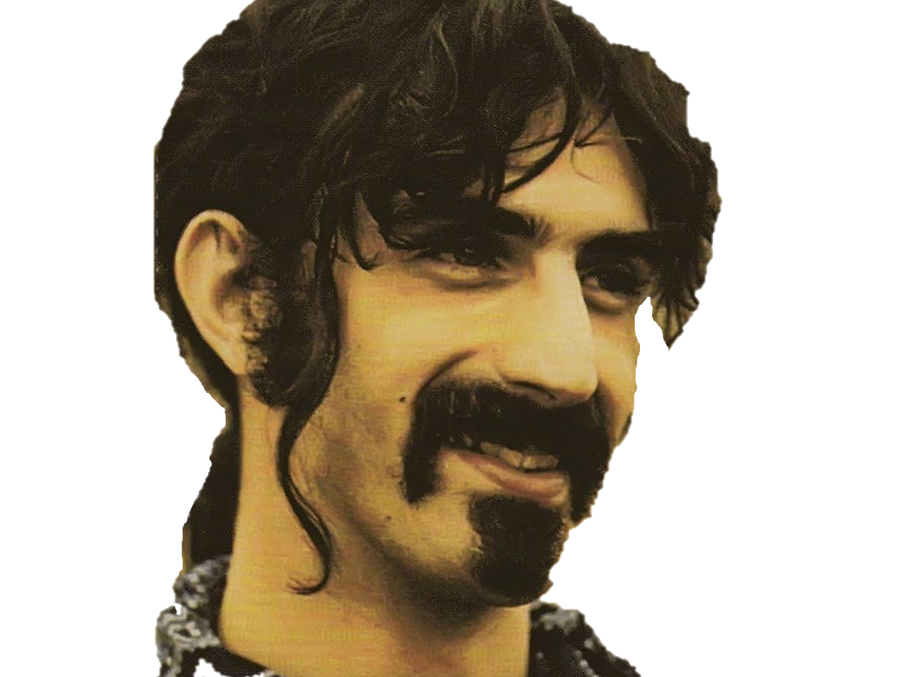 cool zappa hippie freak frank
