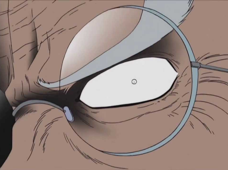 kikoojap one piece oeil crocus