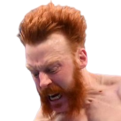 lesnar504 sheamus fella