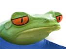 frog-deprime-other-grenouille-triste-civiq-sad-feels