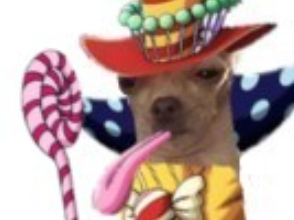 piece perospero charlotte chien one