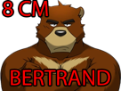 risitas-ours-l-cub-loli-anthropomorphisme-est-de-bertrand-aneryl-pedo-nounours-furry-c-zoophile-suisse-cm-8