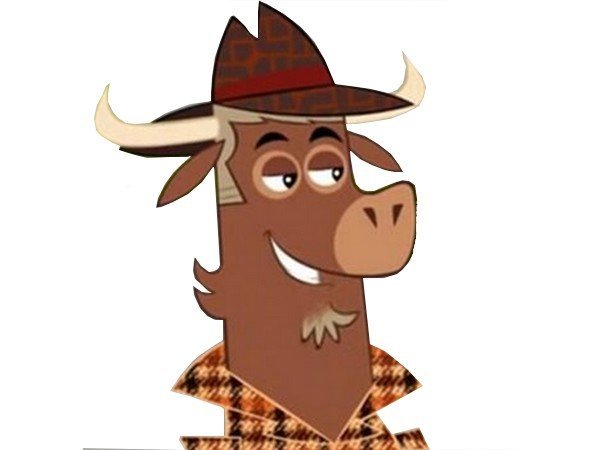 yl yack jvc heureux sourire