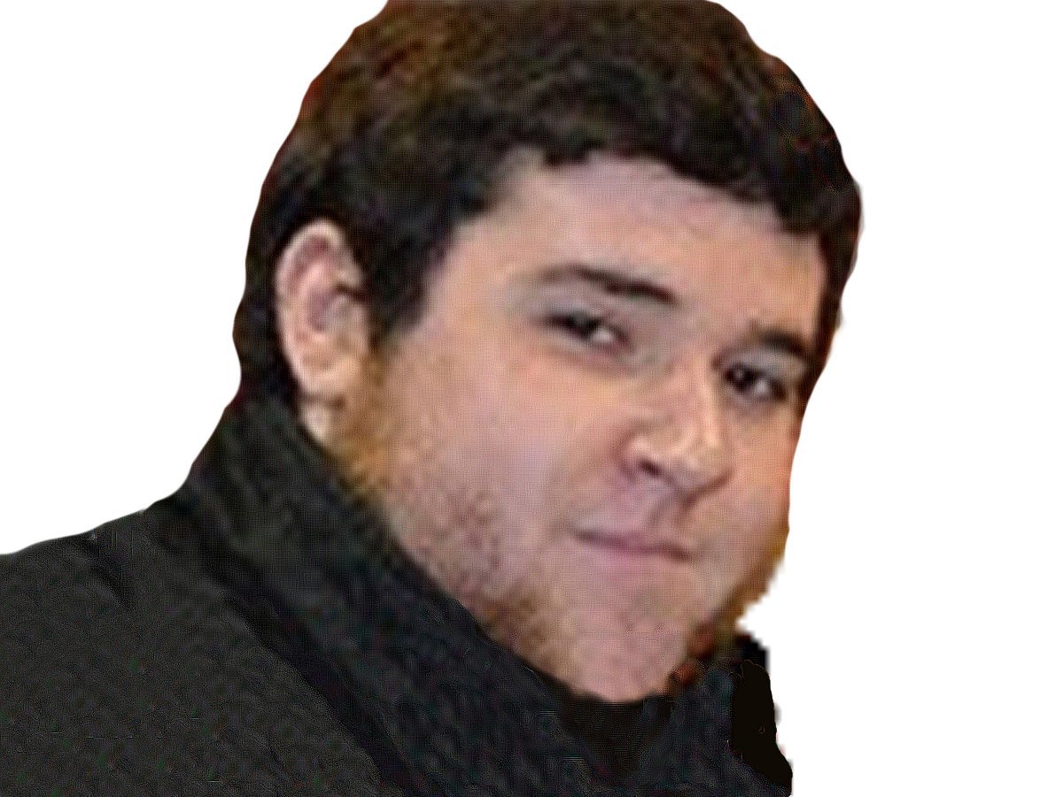 aneryl photo irl furry risitas