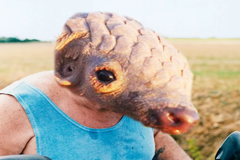 pangolin depardieu zinzin gerard