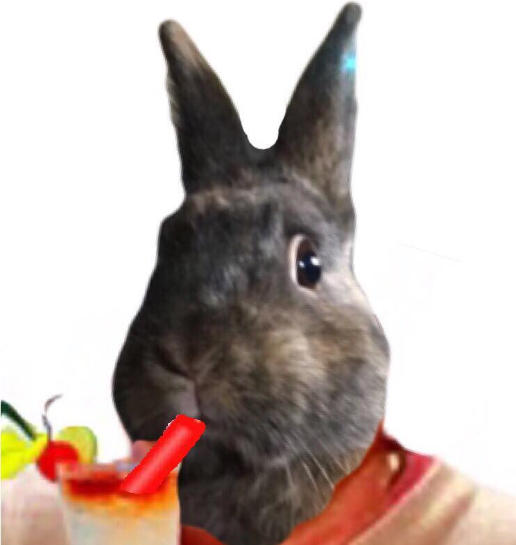 lapin cocktail paille